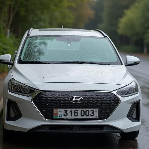 Ioniq 세차 전